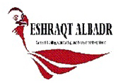 logo11